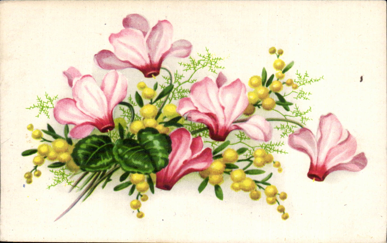 Blumen - Blumen - gelbe Blute - CPA