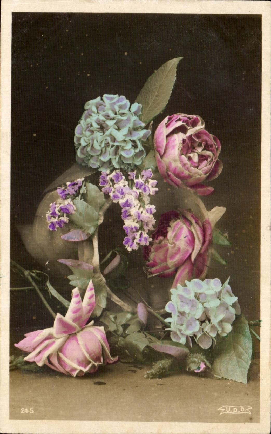 Blumen - Blumen - CPA