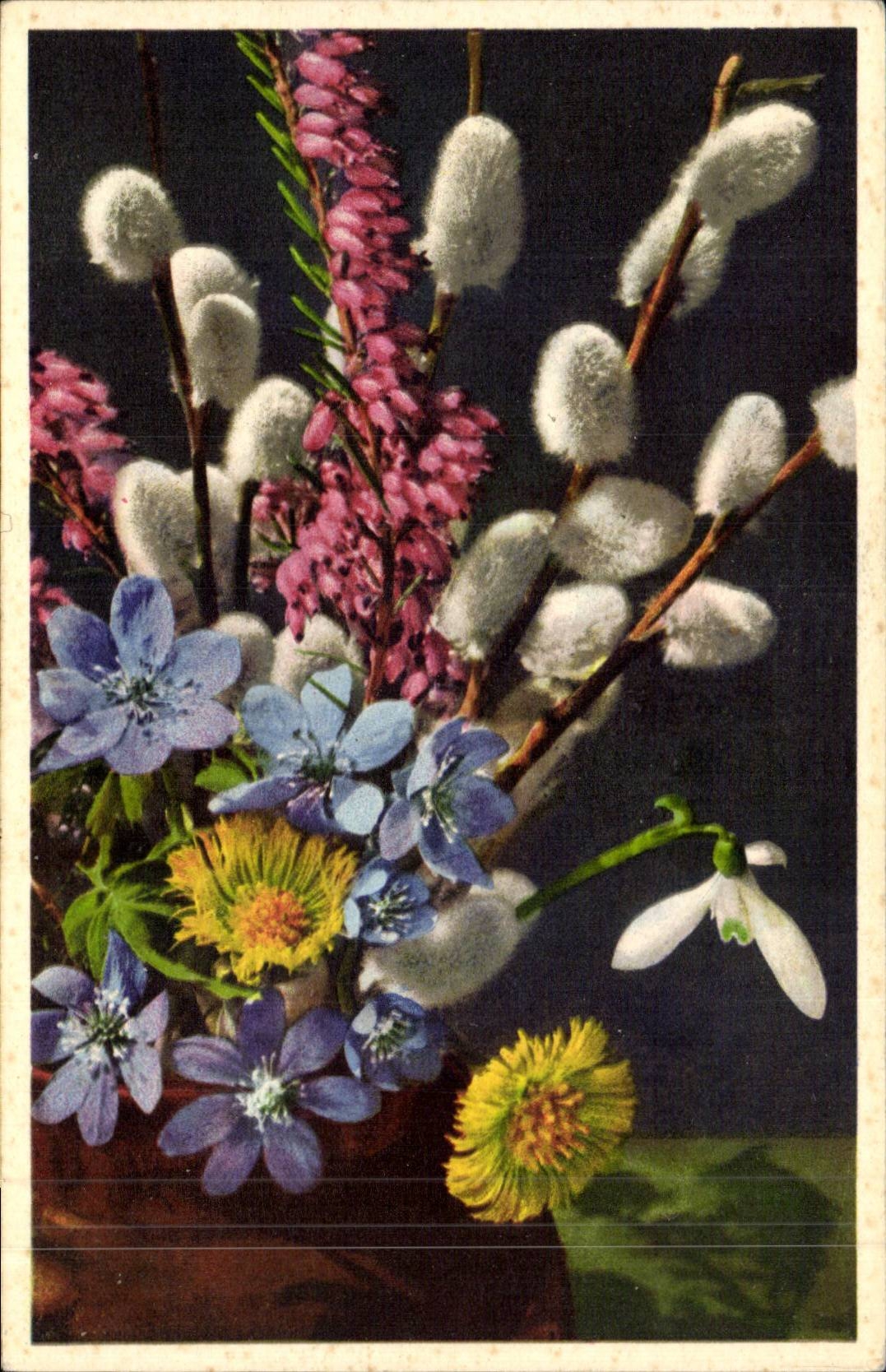 Blumen - Blumen - Blumenstrauss und pussywillows - CPA