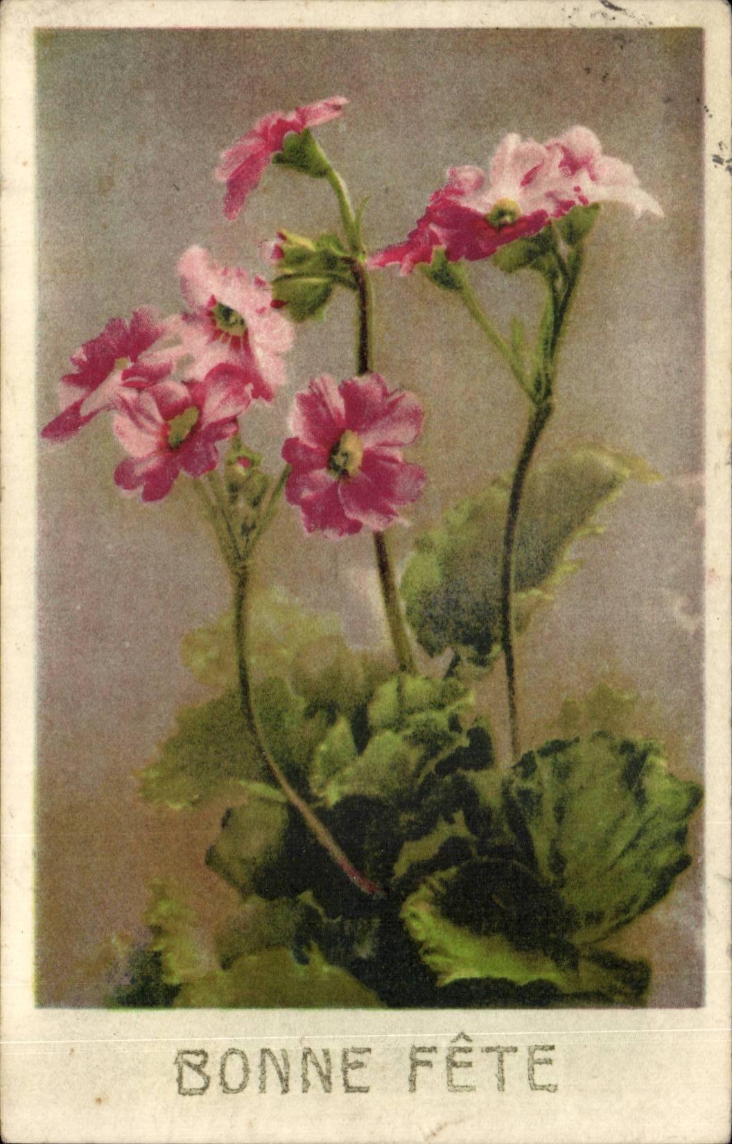 Blumen - Blumen - gutes Festival - Rosa - CPA