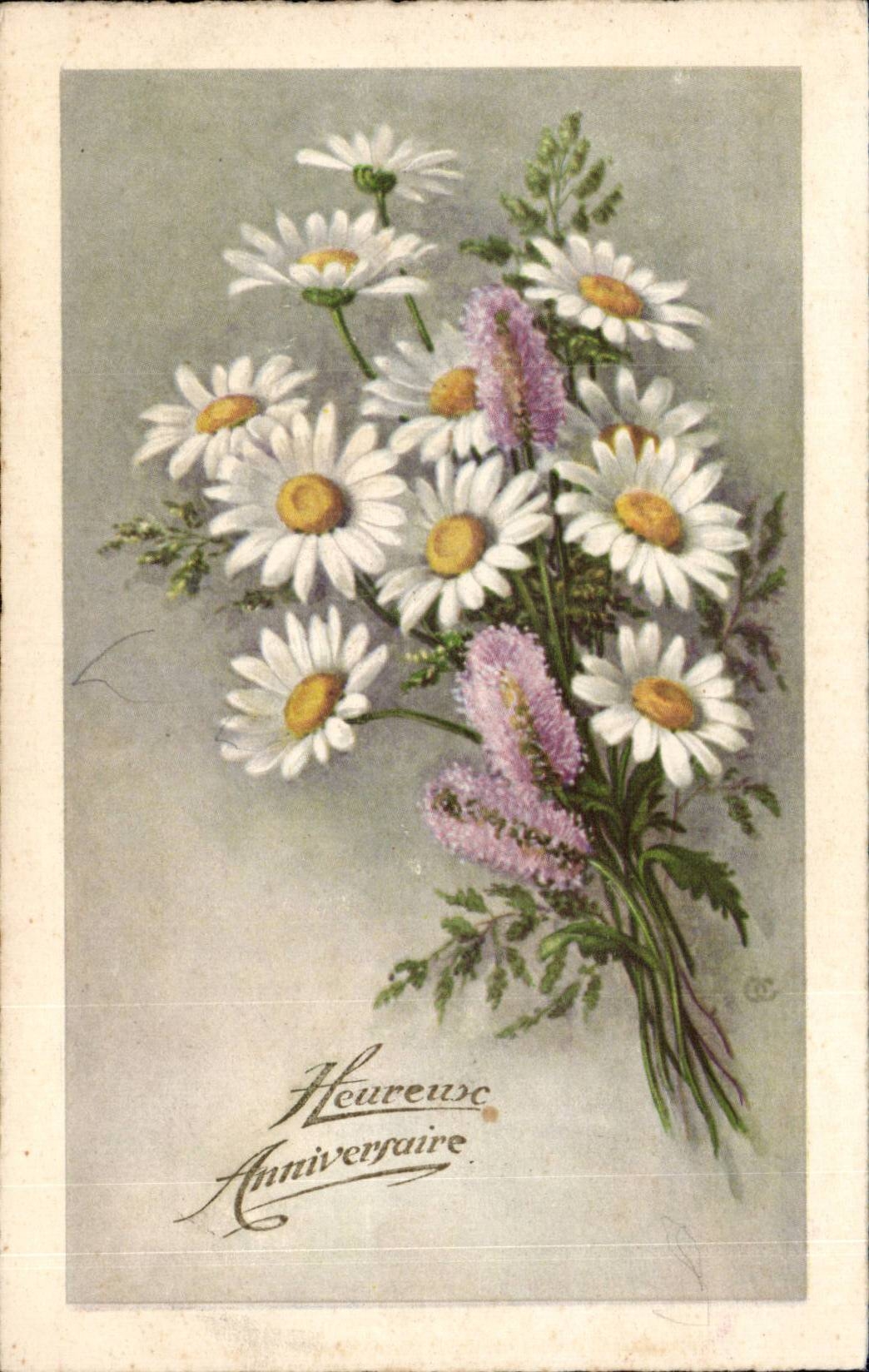 Bluht - Blumen - Ganseblumchen - CPA