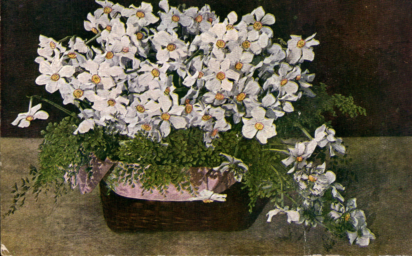 Bluht - Blumen - Tennisschuh weg von den Blumen - CPA