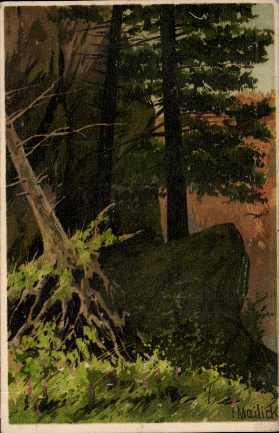 Bohrgerat - Holz - Wald - CPA