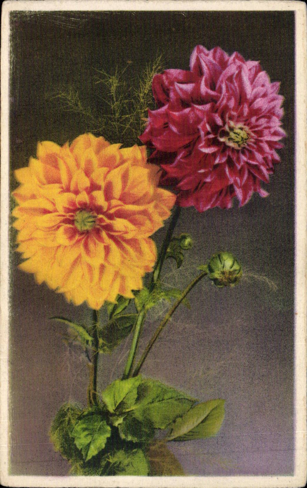 Blumen - Blumen - 2 hubsche Blumen - CPA