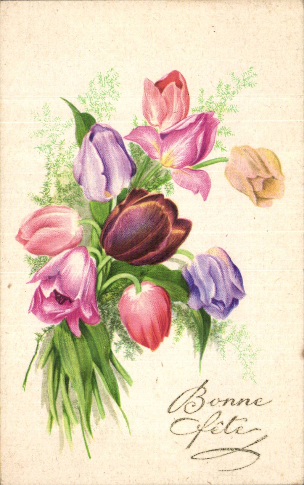 Blumen - hubsche Tulpen - CPA