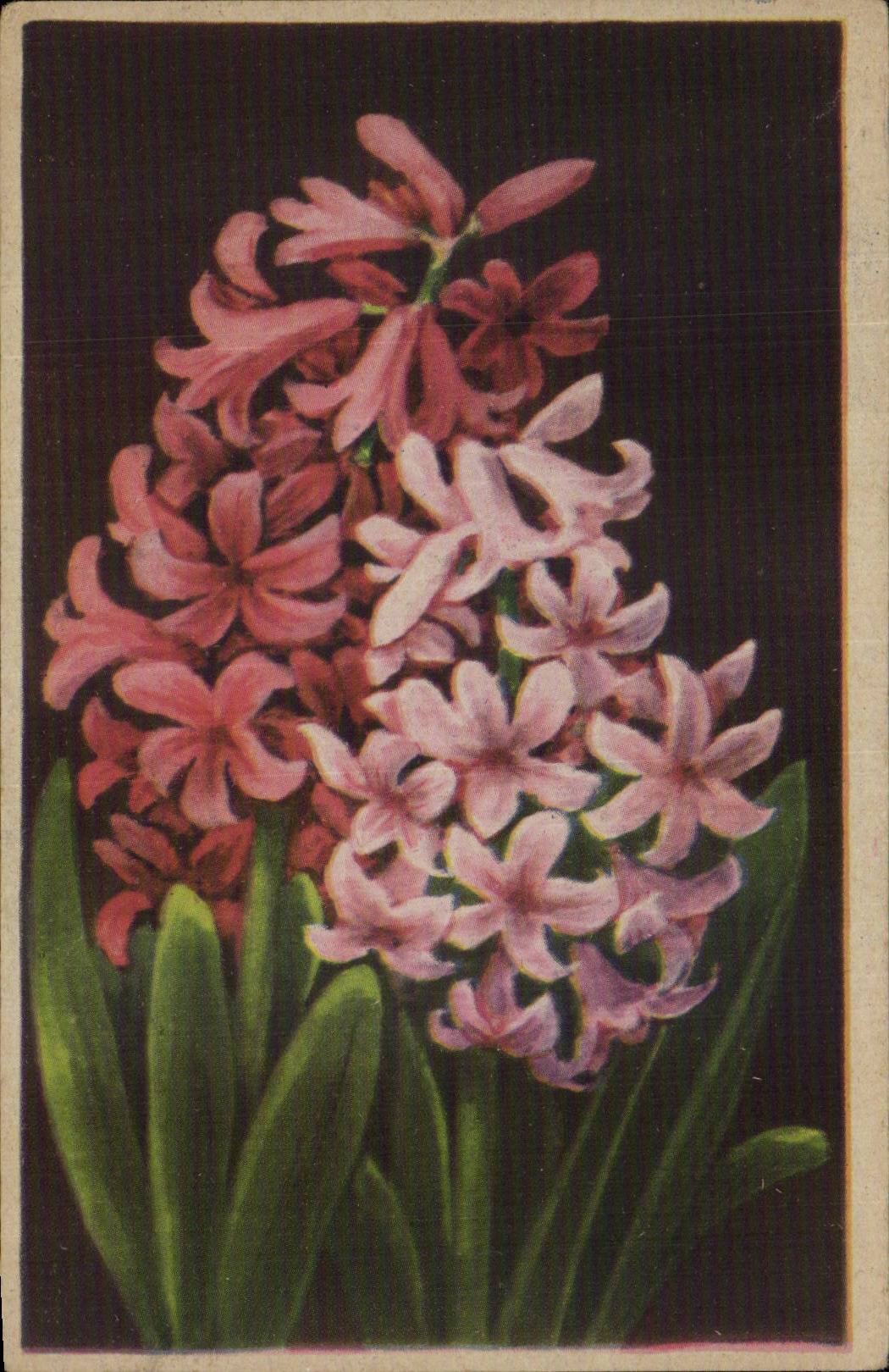 Blumen - hubsche Blumen - CPA