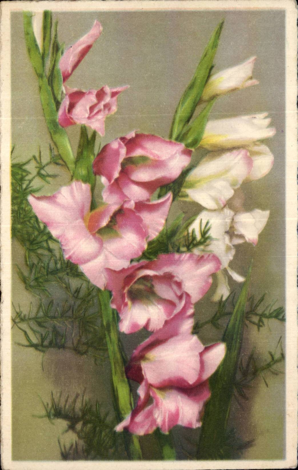 Blumen - Blumen - recht rosafarbene Blumen - CPA