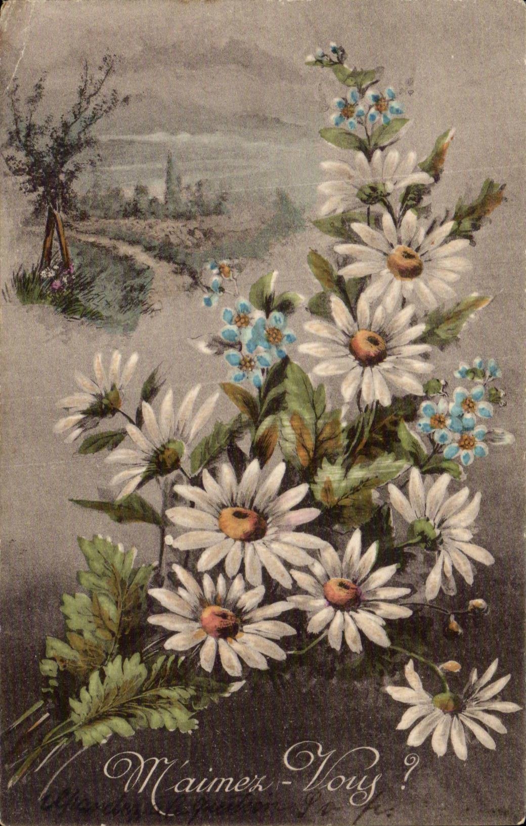 Bluht - Blumen - Ganseblumchen - CPA