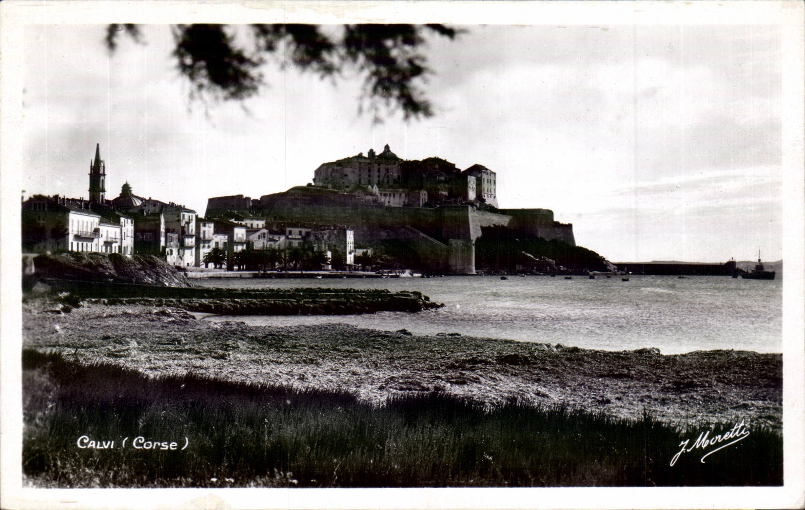 Corsica - High Corsica - Corsica - Calvi - CPA