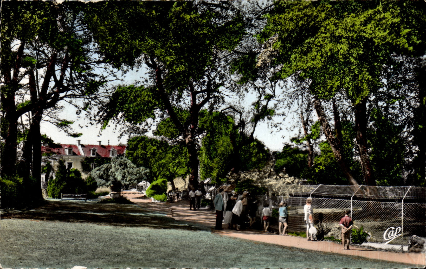 CPSM Luc auf Meer der Park des Rathauses