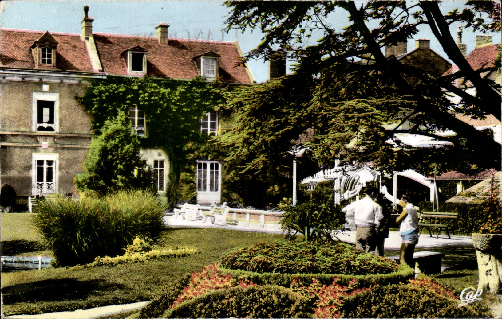 CPSM Luc auf Meer der Park des Rathauses und des Wals