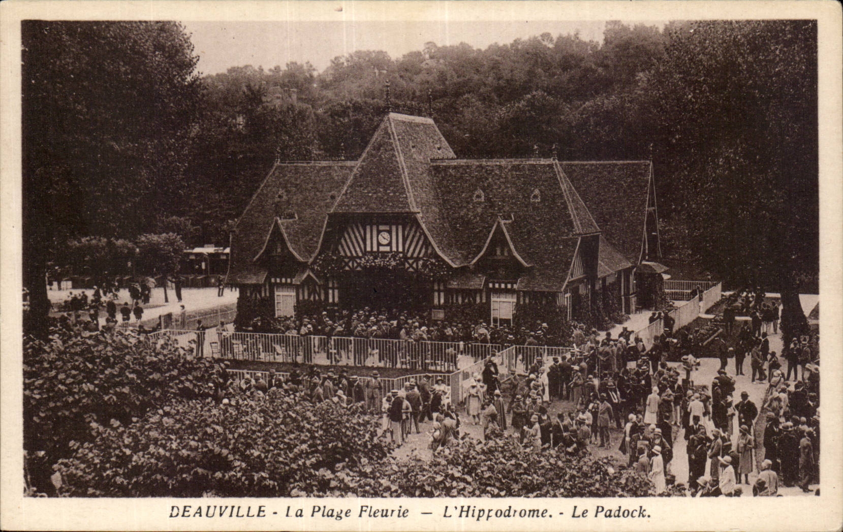 Deauville - das Hippodrom - Padock Hippisme - CPA