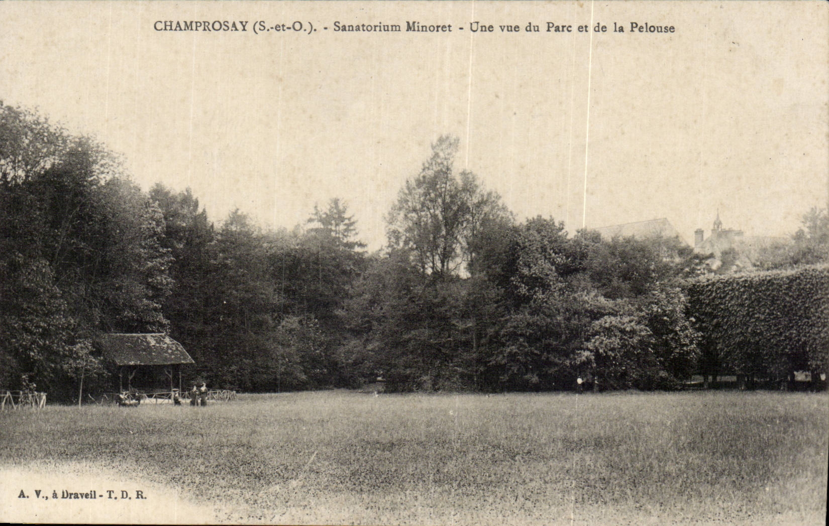 CPA Champrosay Sanatorium Minoret Une vue du parc et de la Pelouse