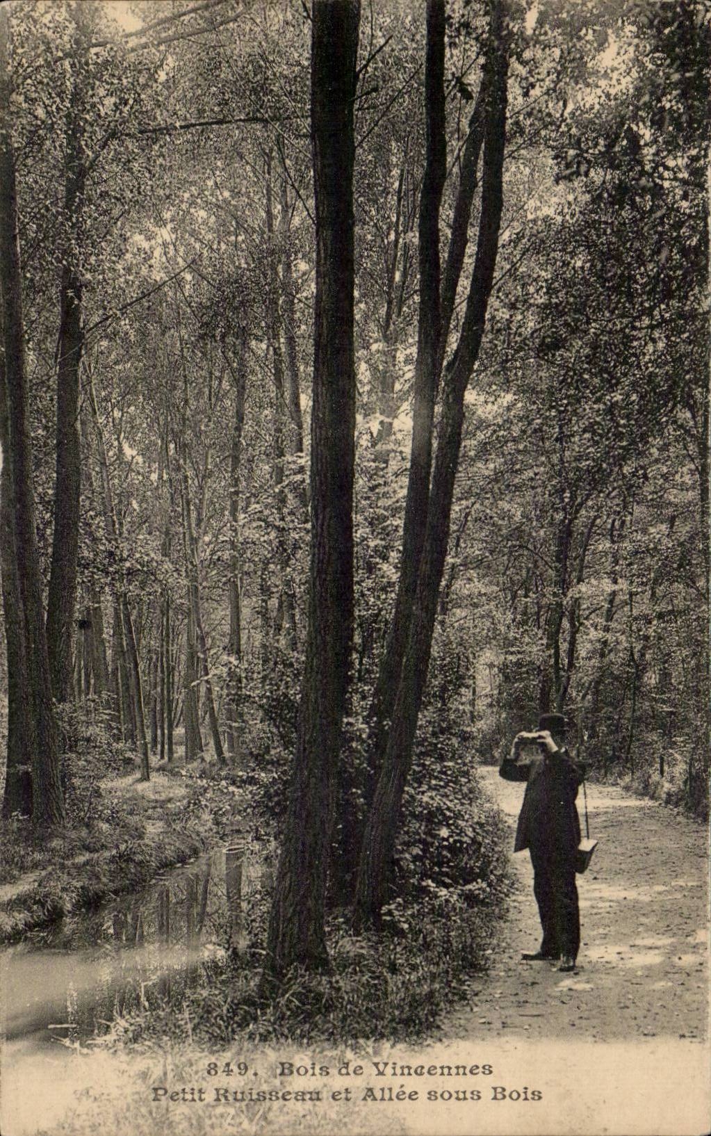 CPA Wood of Vincennes Small brook and gone under wood