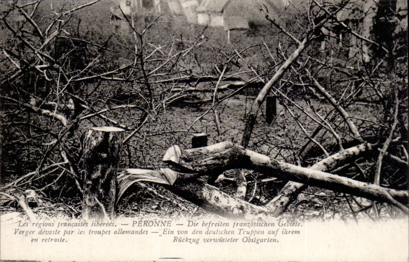 CPA Fibula French areas liberees