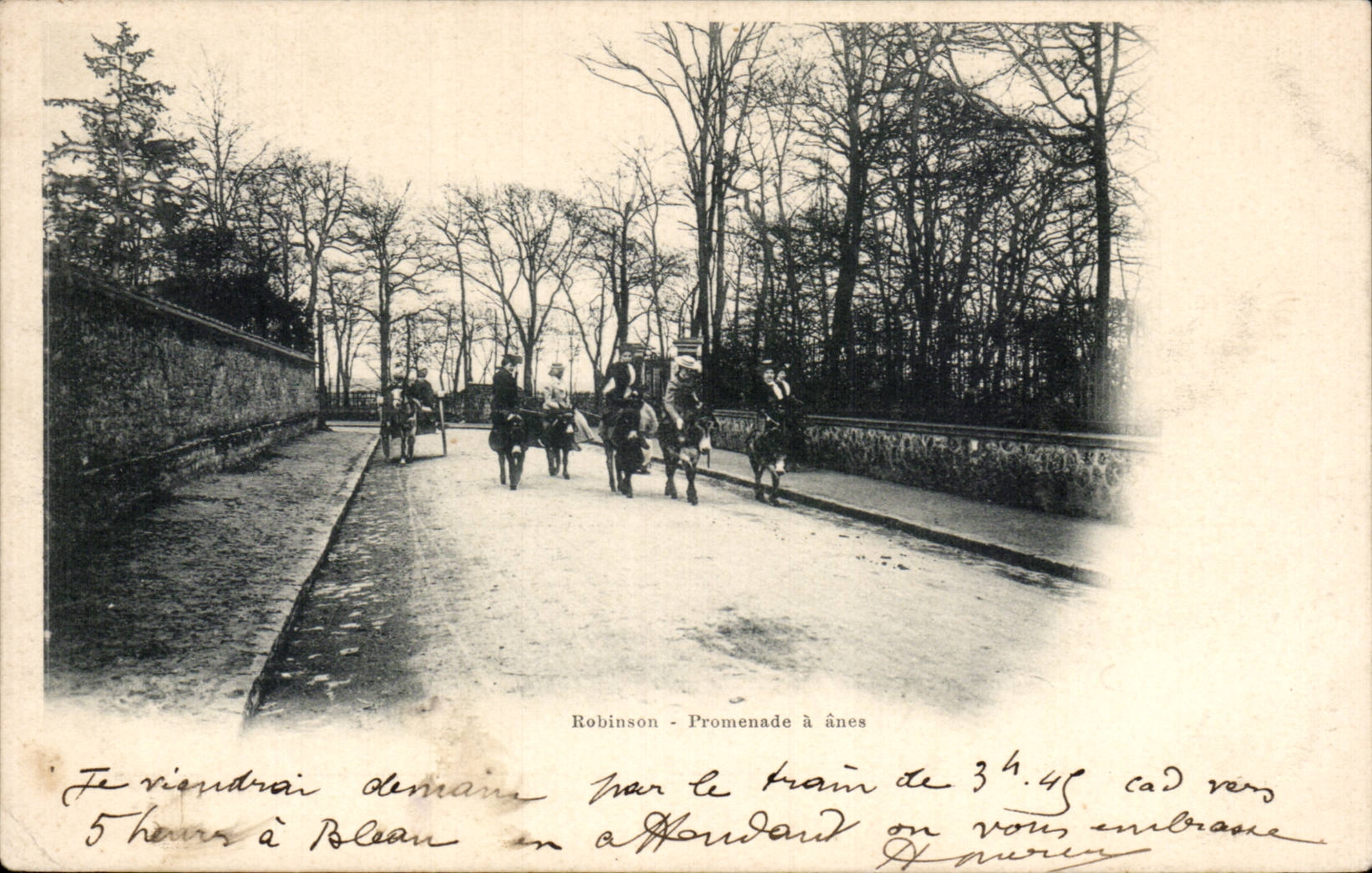 CPA Robinson Promenade a anes donkey