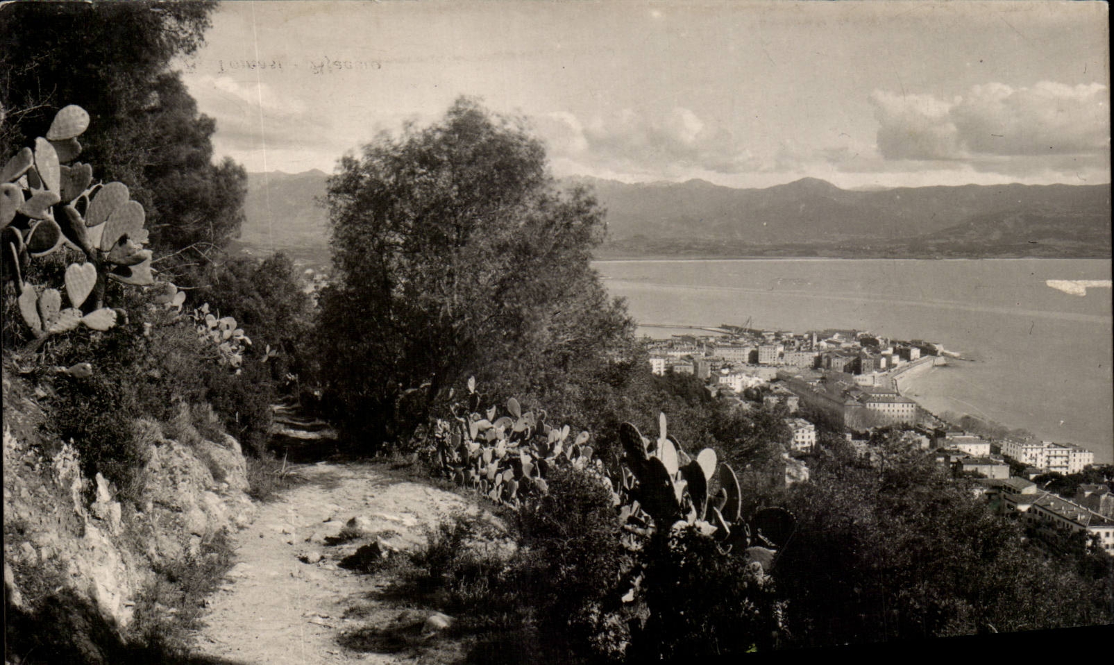 Corsica - Corsica - Ajaccio - View - CPA