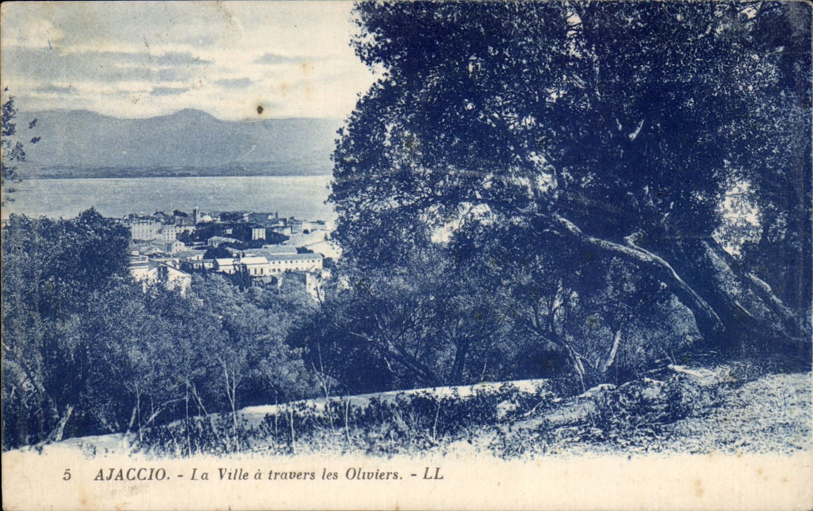 Corsica - Corsica - Ajaccio - the city through the Olive-trees - CPA