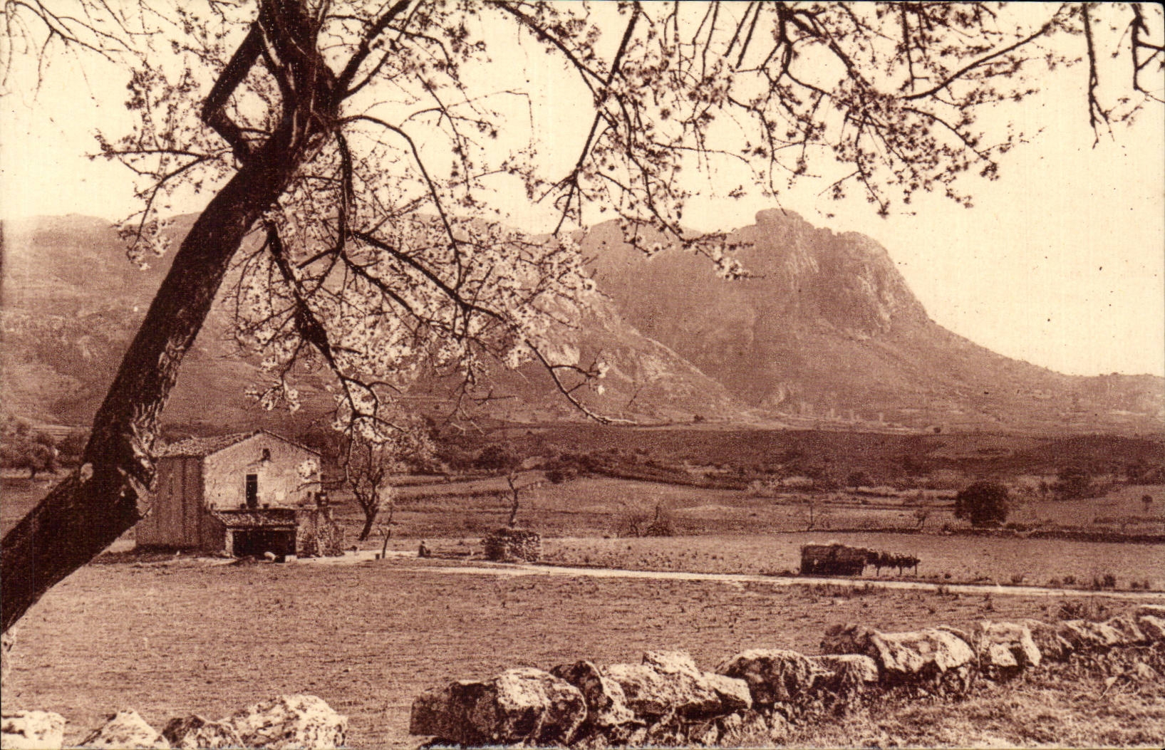 Corsica - Corsica - Ajaccio - Corsica - Corsica Landscape - Road of Piana - CPA