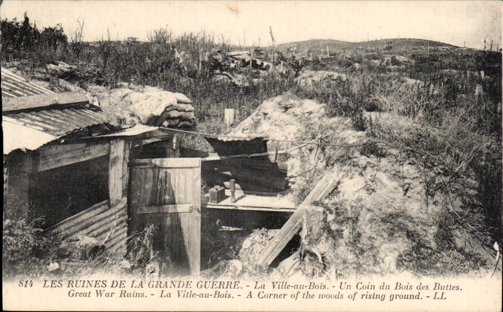 The City with Wood - Ruins of the Village - Ruins of the Great War - a Corner of the wood of the Hillocks - CPA