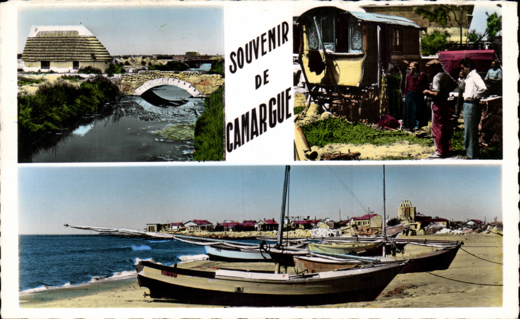 Camargue - Souvenir - CPA 