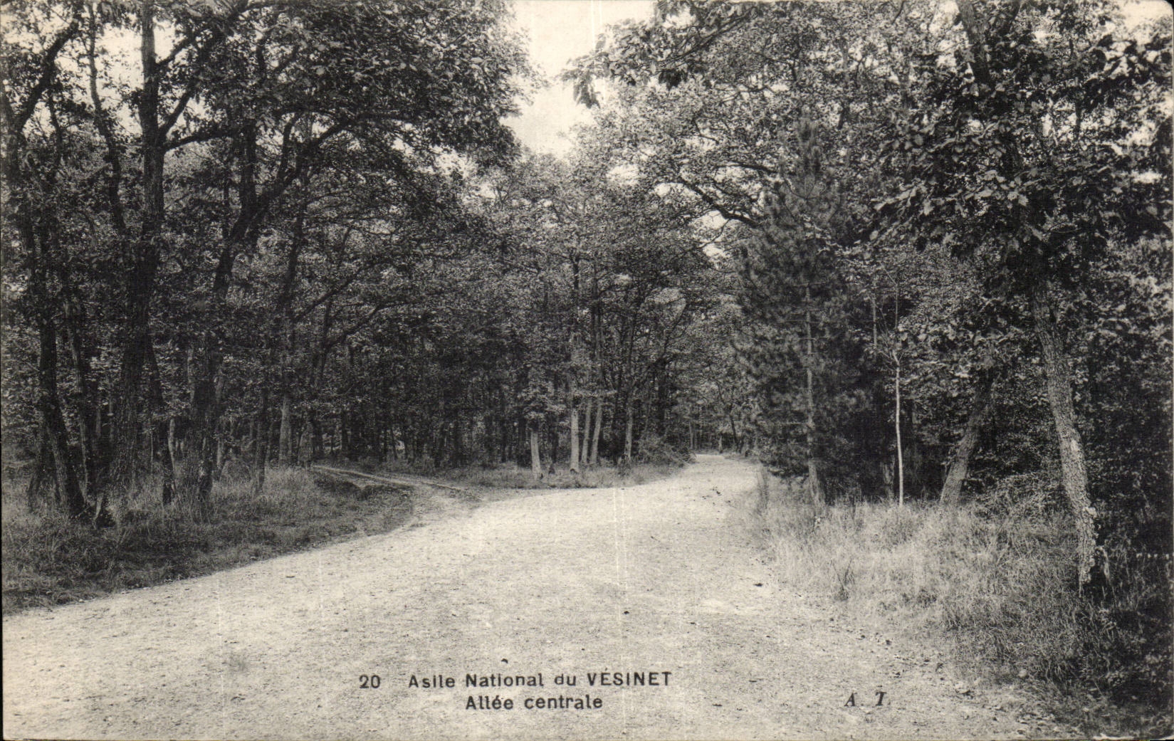 Vesinay - National Asylum - Allee Central - CPA