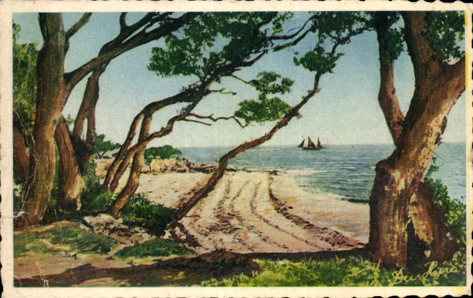 CPA Island of Noirmoutier Wood of Chaize