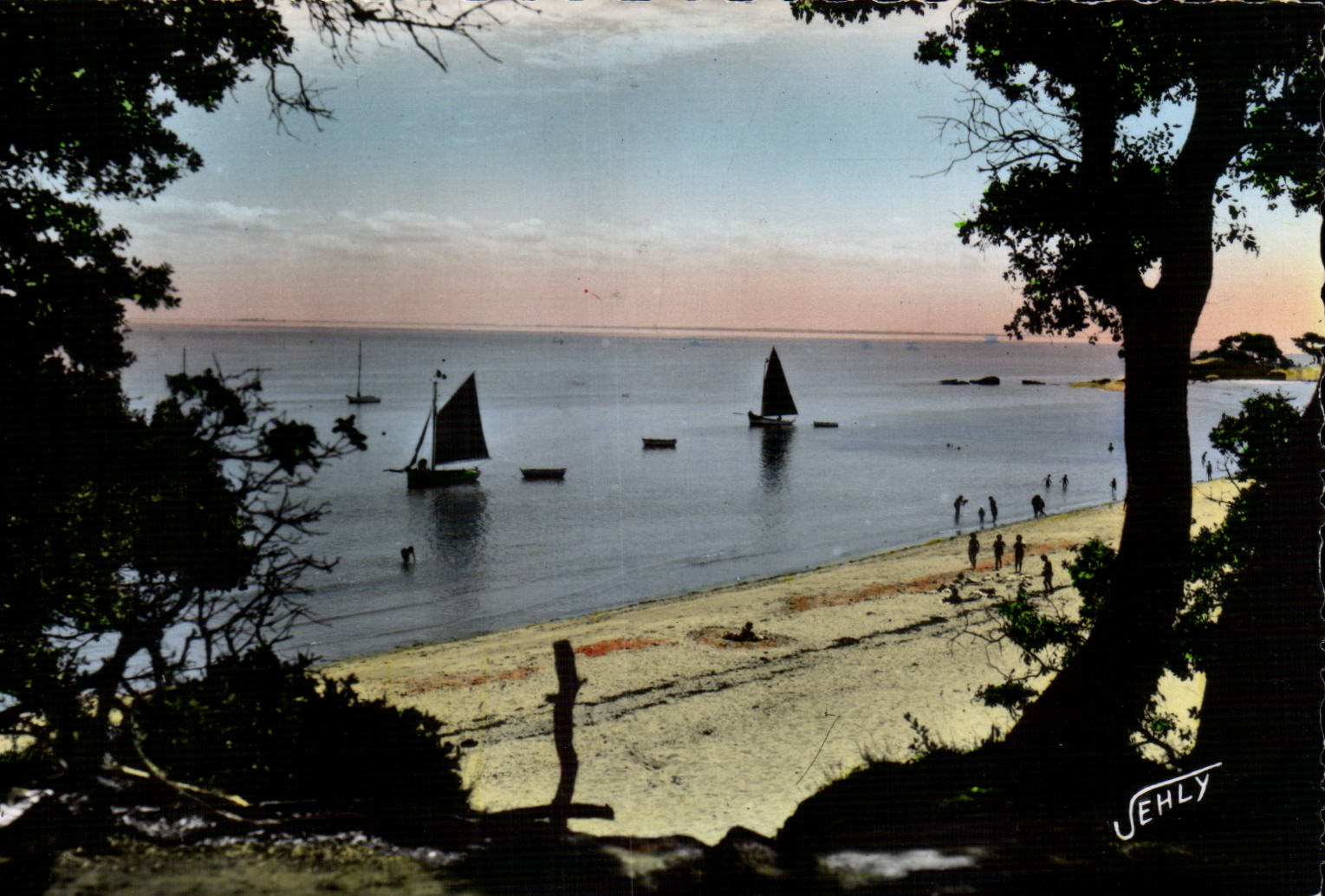 CPSM Noirmoutier Landscape