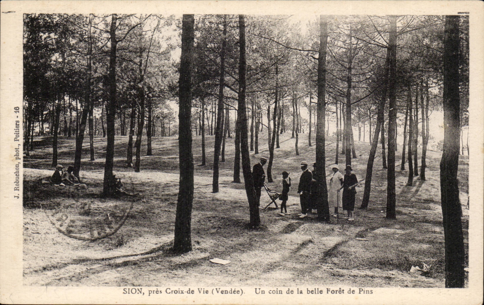 CPA Sion close Croix de Vie a corner of beautiful the drill of pines