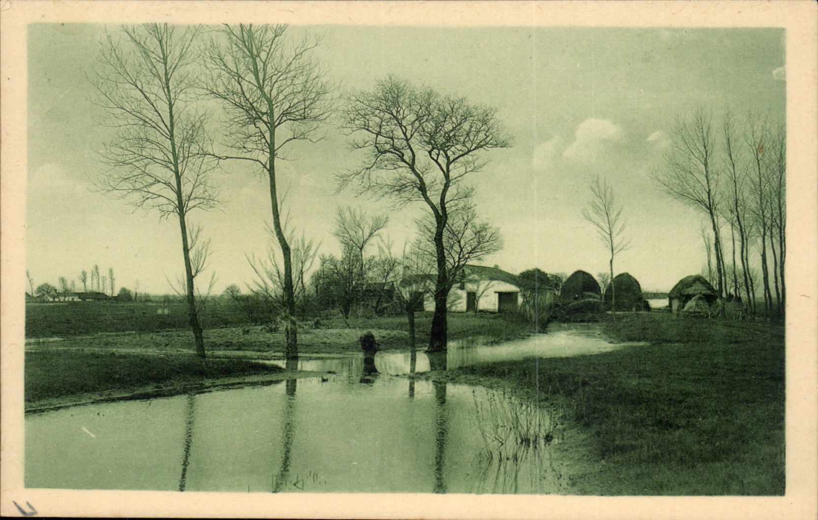 CPA die Vendee maraichine Landschaft des Sumpfes