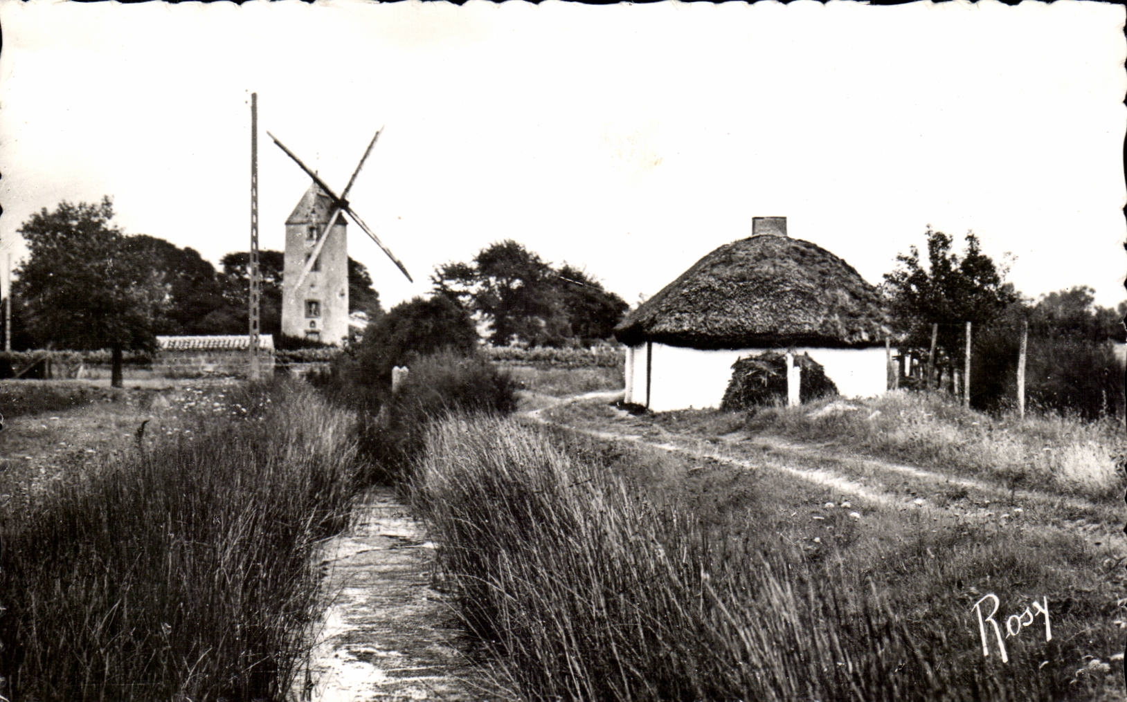 CPSM im Vendee Bourrine und Muhle des Land maraichin