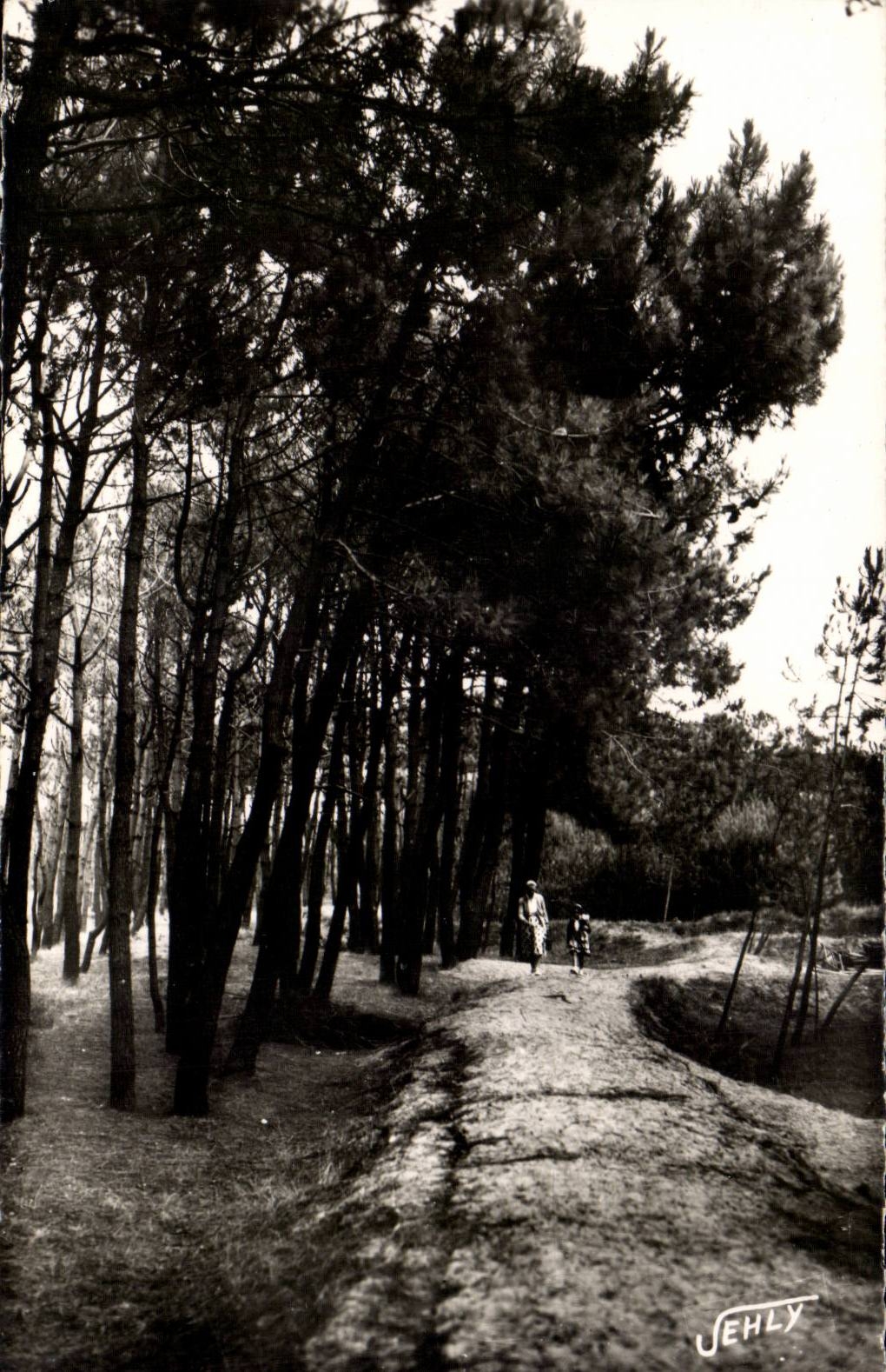 CPSM Bretignolles on Sea the drill of the dunes