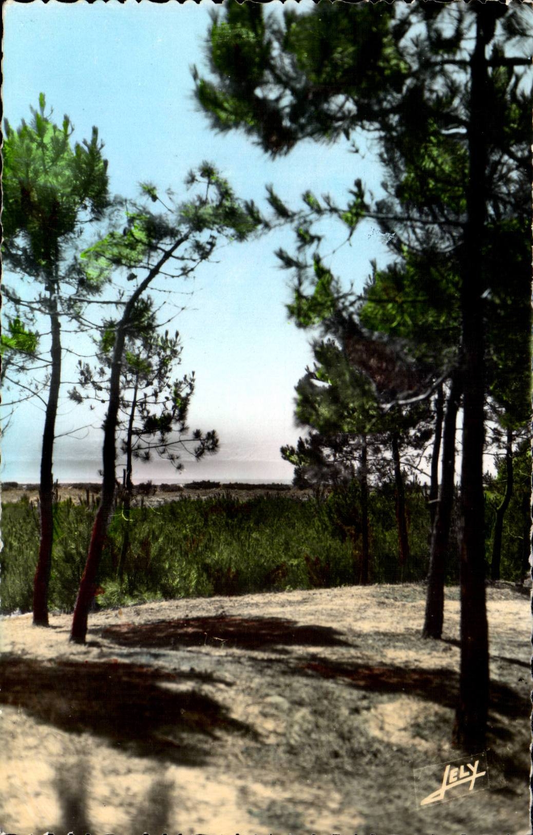 CPSM Notre Dame de Monts das Bohrgeratmeer durch die halben Liter