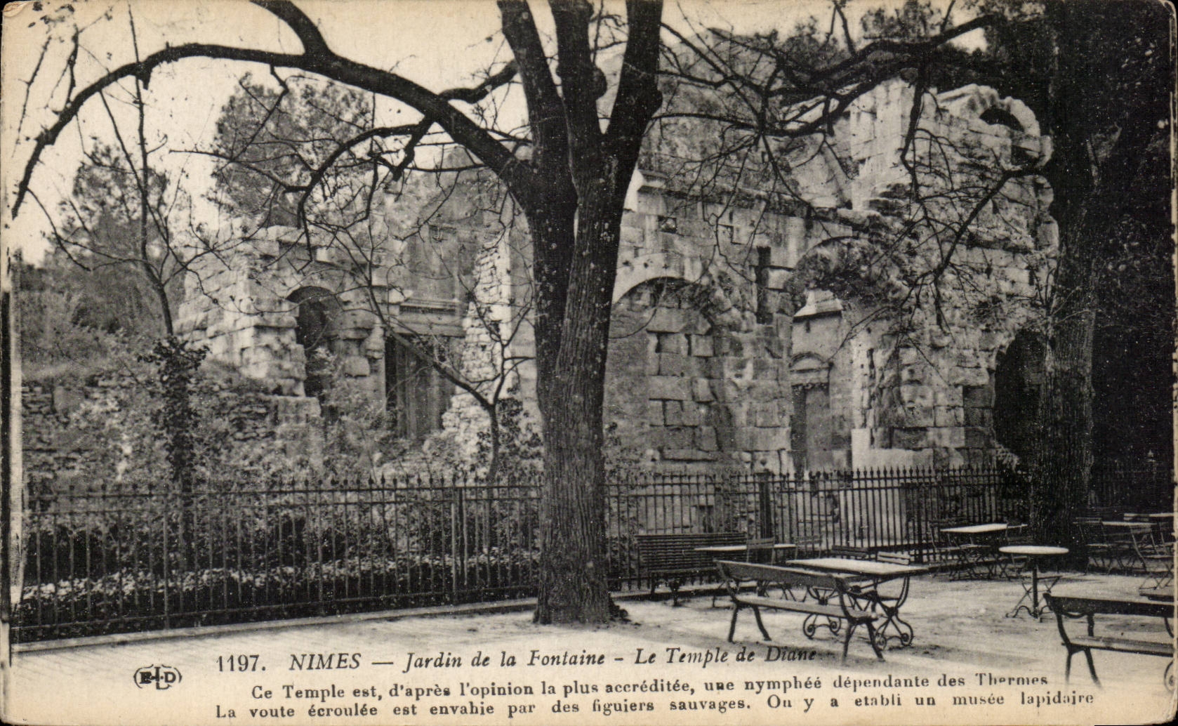 CPA Nimes Garten des Brunnens der Tempel von Diane