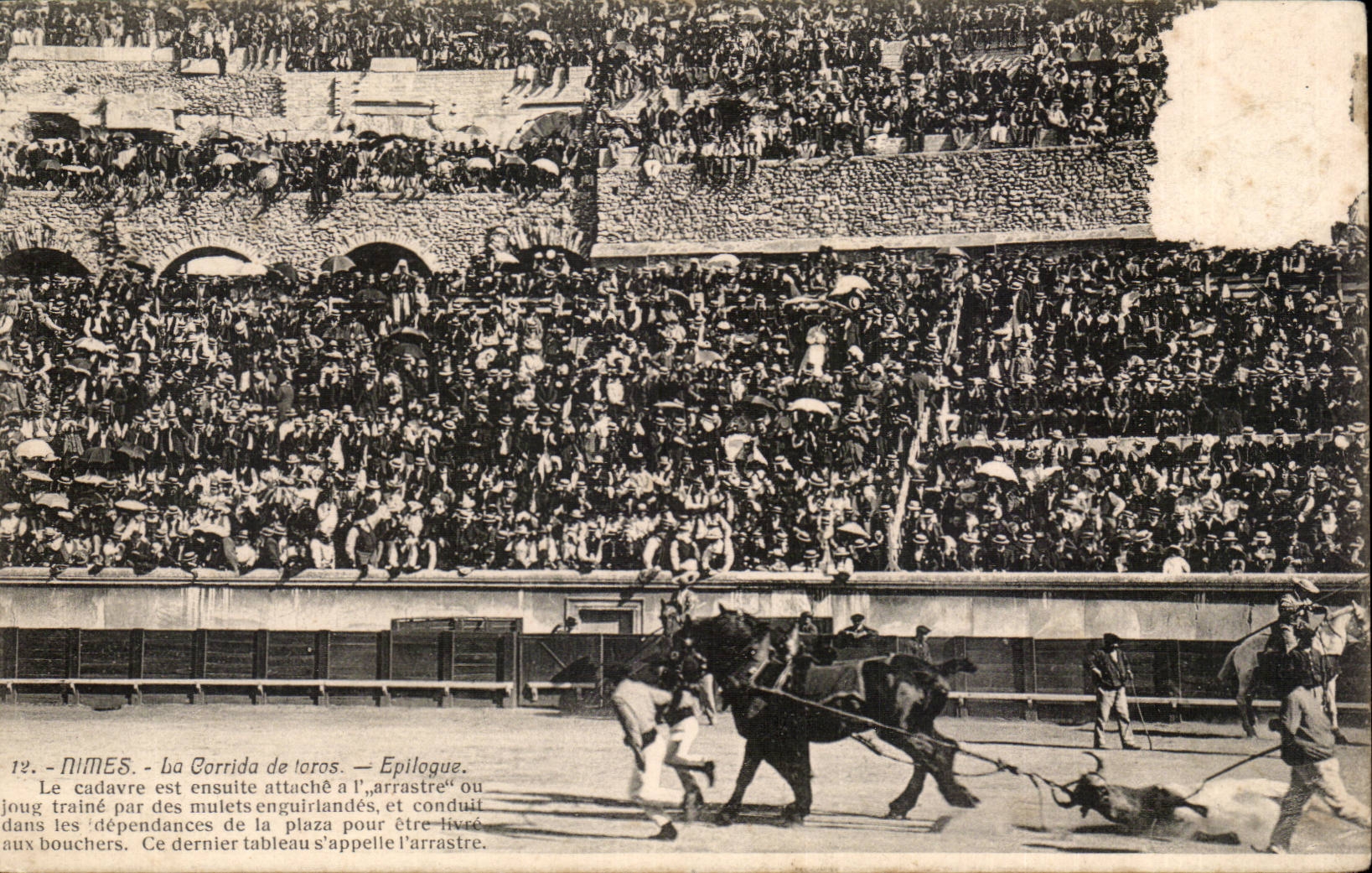 CPA Nimes der Bullfight von toros Epilog