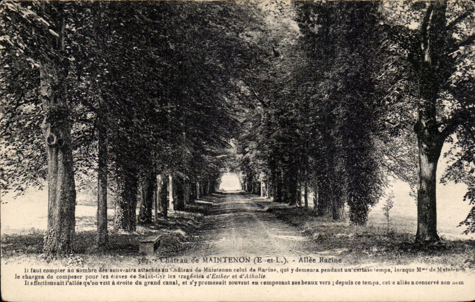 CPA Maintenon Schloss-Allee Wurzel