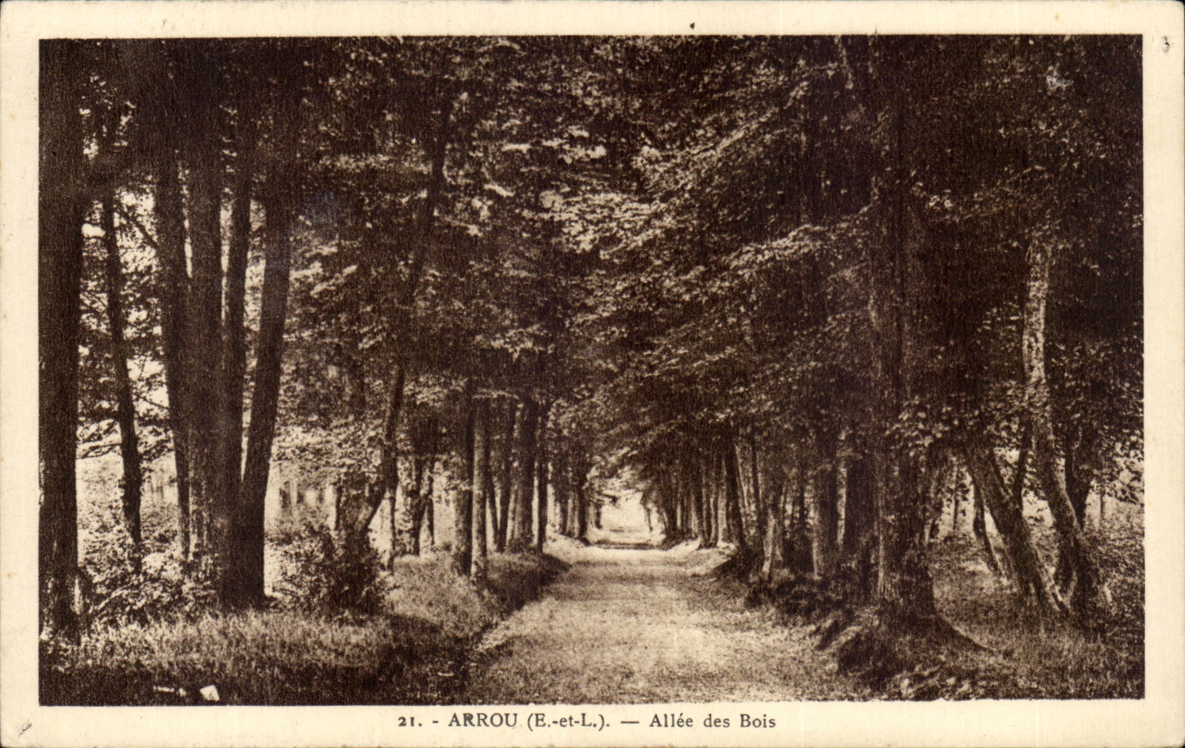 CPA Arrou Allee des Holzes