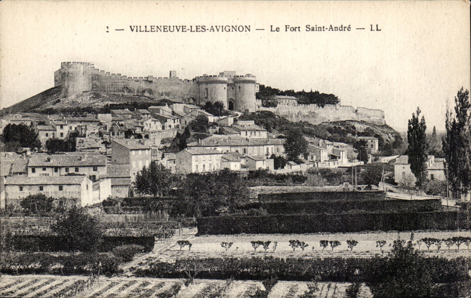 CPA Villeneuve Avignon Fort Saint das Andre