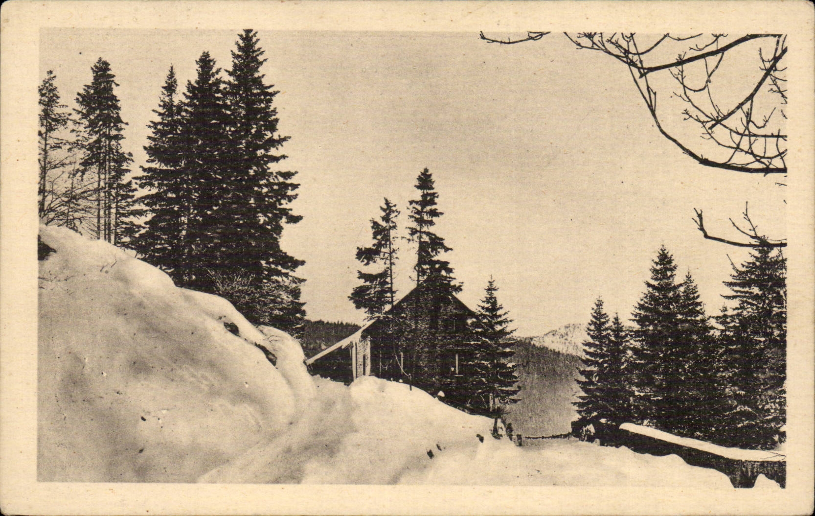 CPA Villard de Lans the road of Barby wood under snow