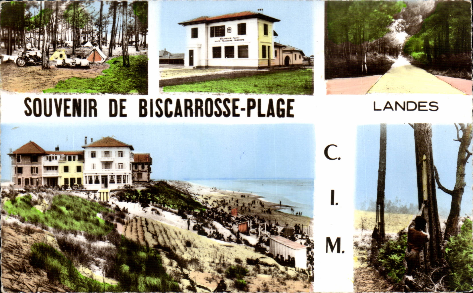 CPSM Souvenir of Biscarrosse beach