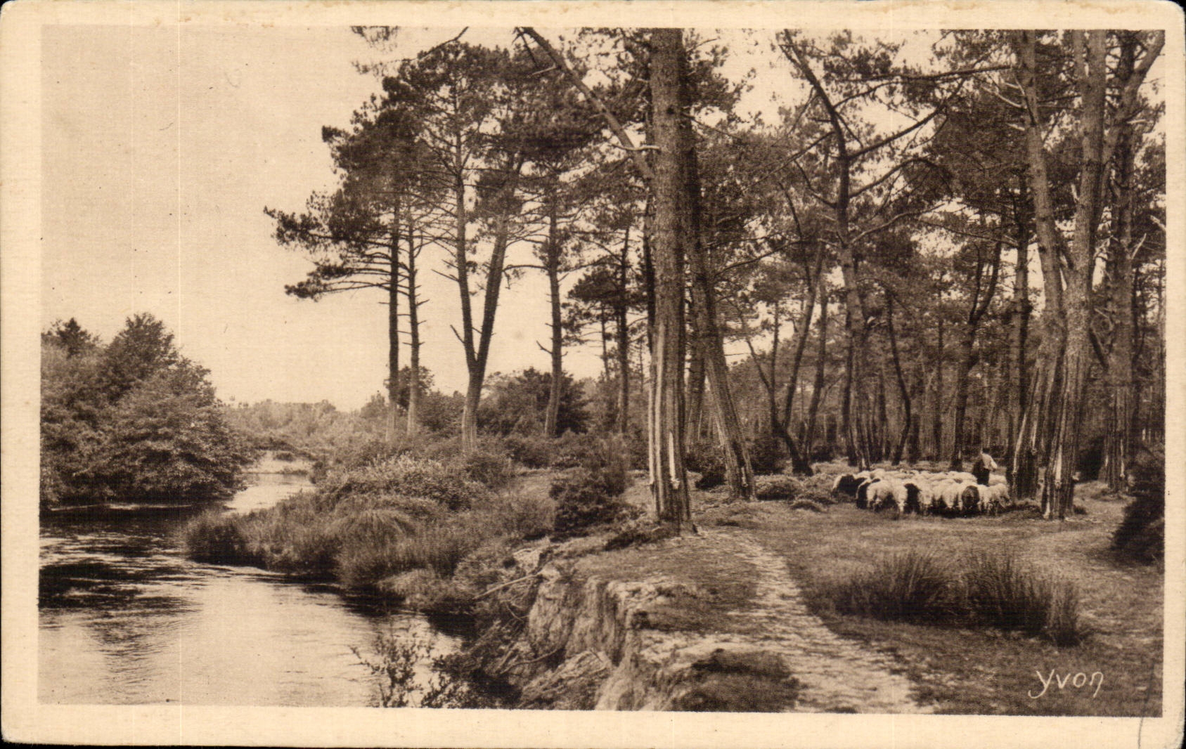 CPA moors out of drill Sheep