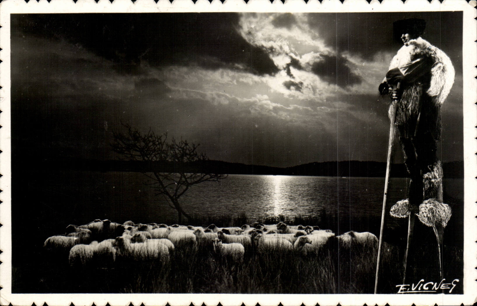 CPA Pays landais One evening at the edge of the lake Folklore Shepherd Sheep