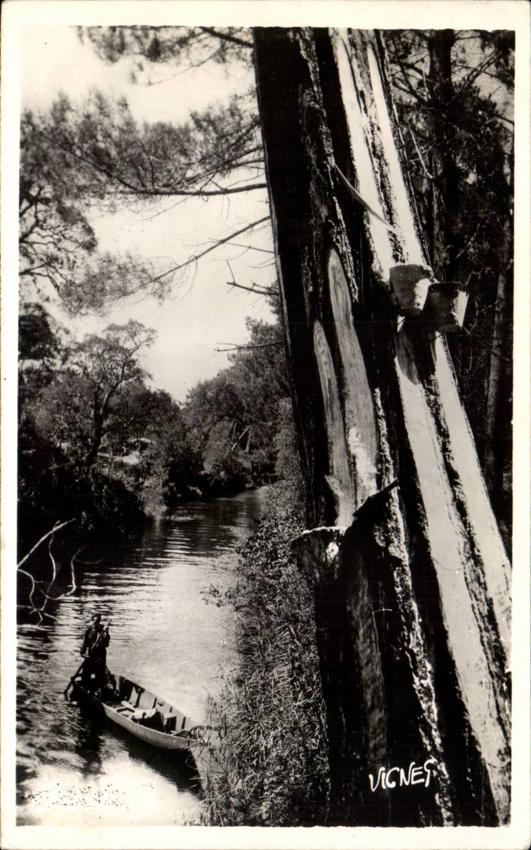 CPSM With the country landais One of our so beautiful currents landais