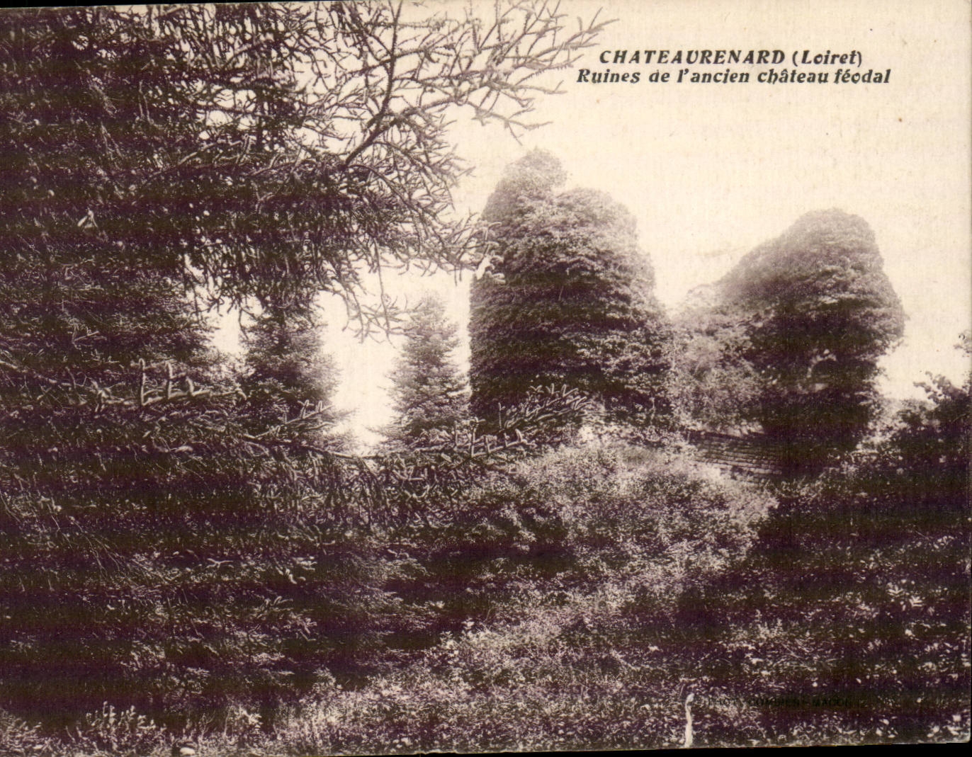CPA Chateaurenard Ruins of the feudal castle