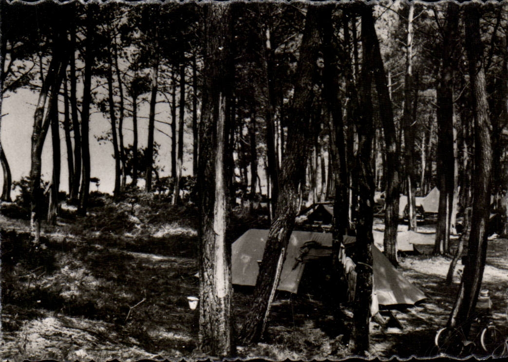CPSM Andernos les Bains Mauret Under wood and camp-site