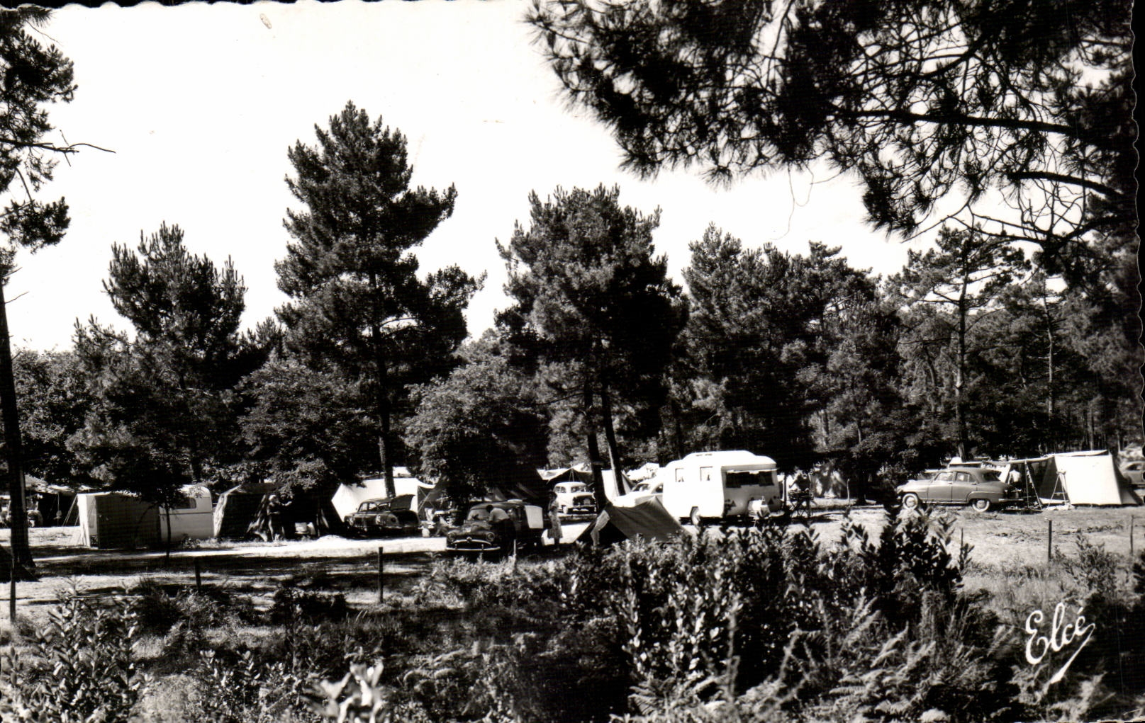 CPSM Bassin d'Arcachon Un terrain de camping