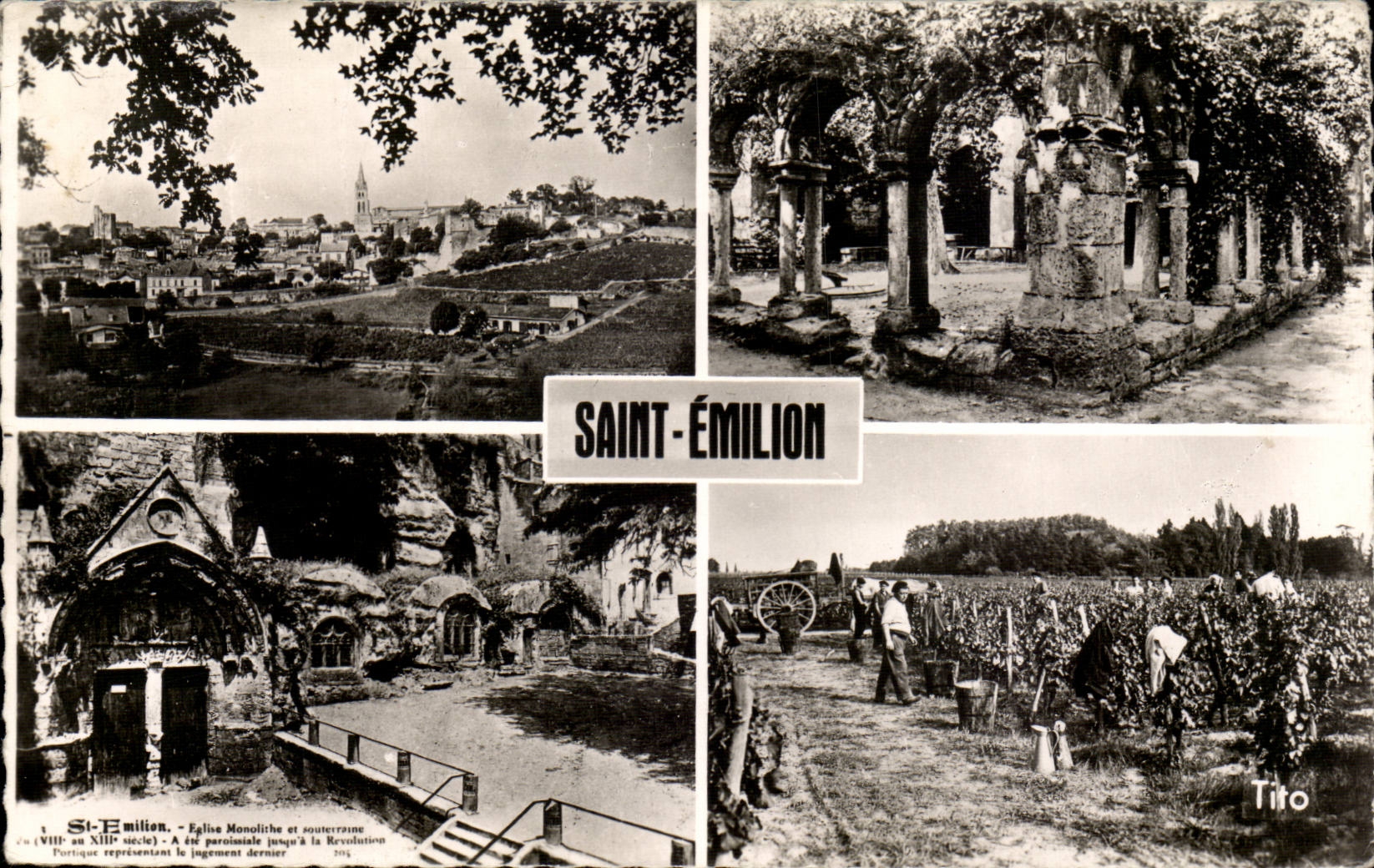 CPSM Saint Emilion View Closed of Cordeliers Church Monolith Grape harvest