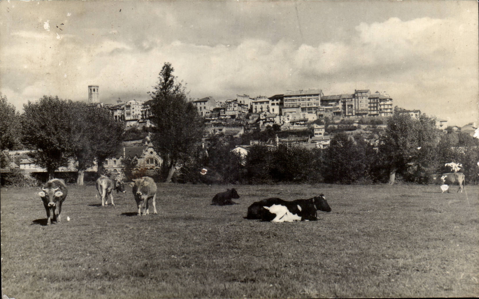 CPA Spain Spain Espana Puigcerdia Packs up of Campania