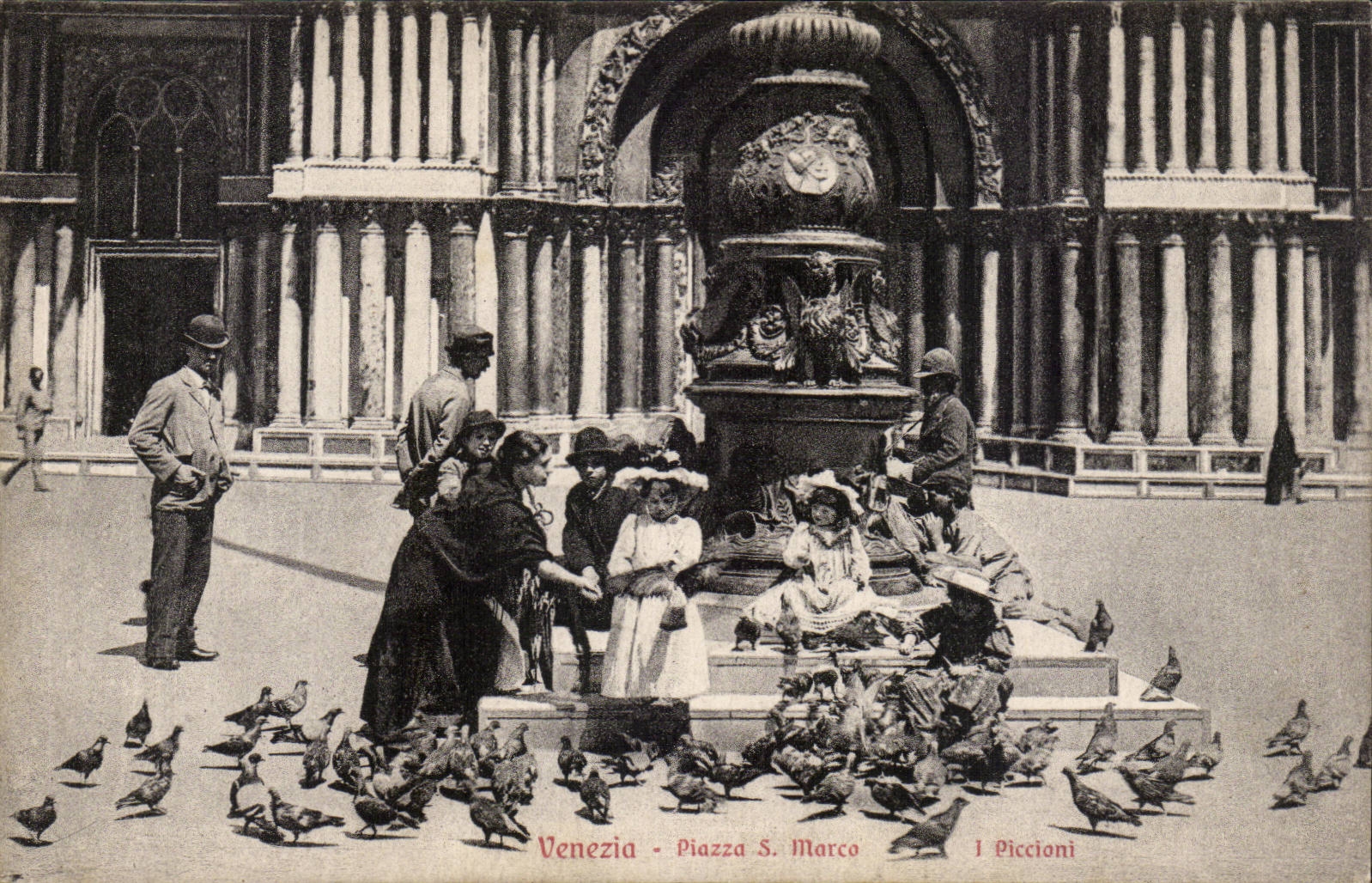 CPA Italy Italia Venezia Piazza S Marco I Piccioni