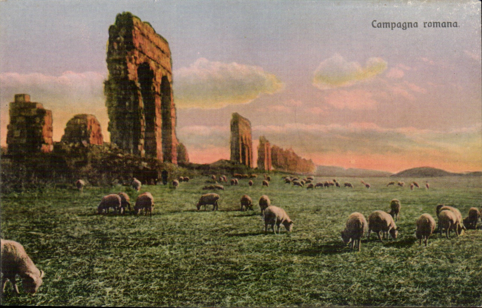 Italia - Italia - Italia - Compagna Romana - ovejas - ovejas - CPA